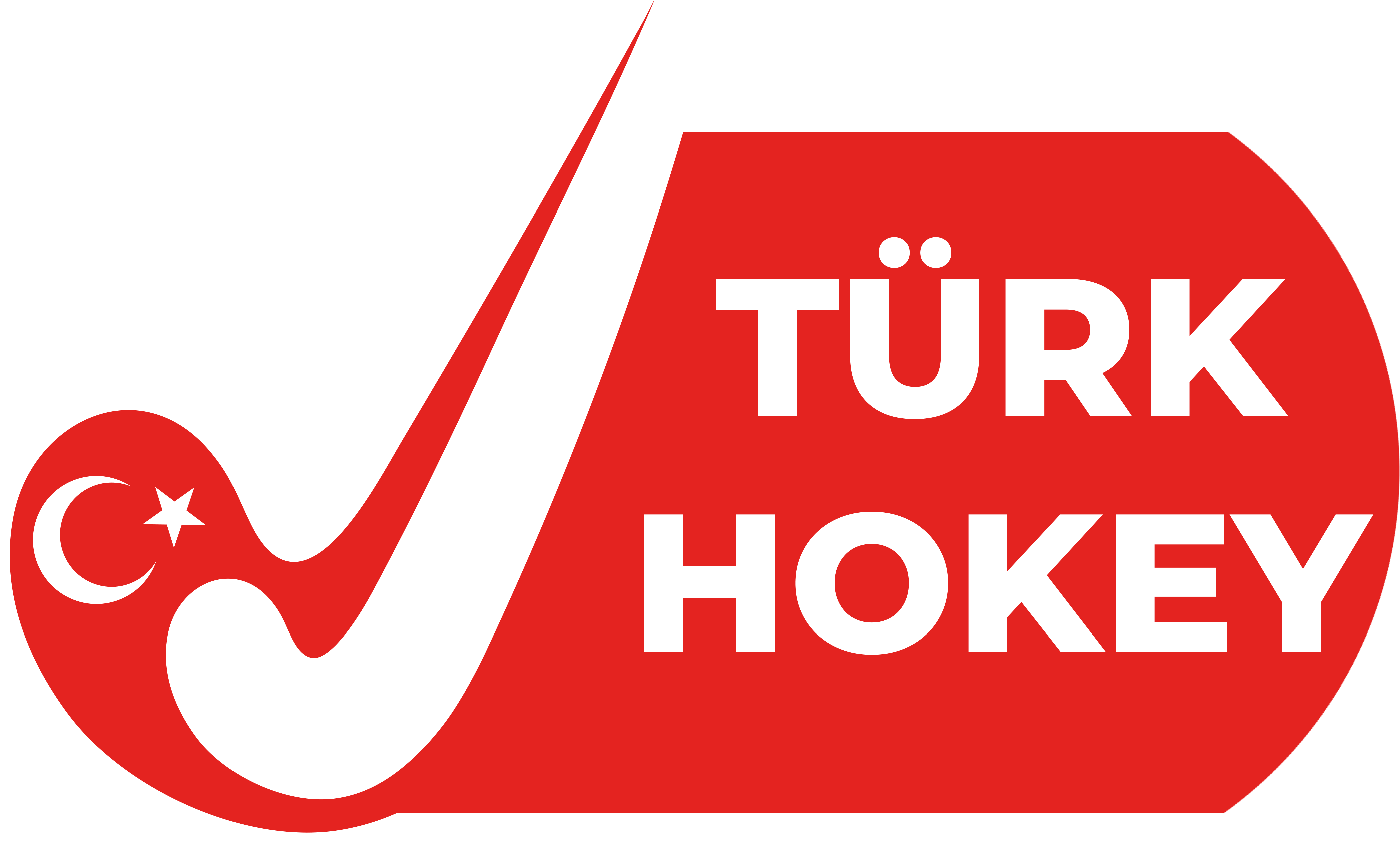 Proje logosu