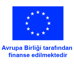 İspanyol Federasyonu